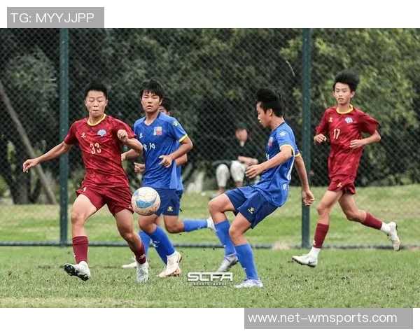 四川省足球协会推动地方足球发展助力青少年成长与职业联赛的全面提升